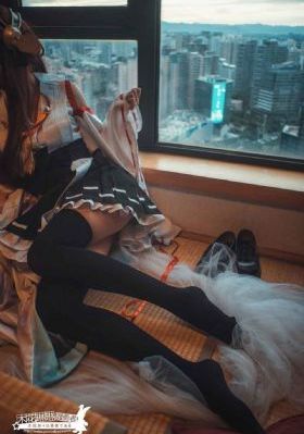 完美盗贼