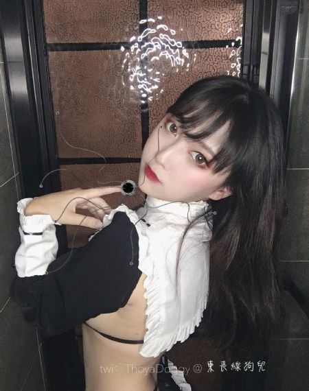 回光奏鸣曲