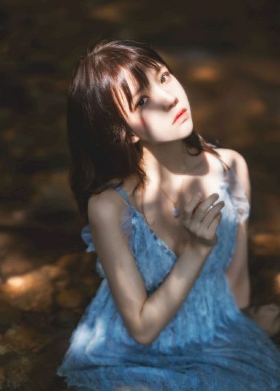 鱼狗