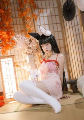 赏金猎人