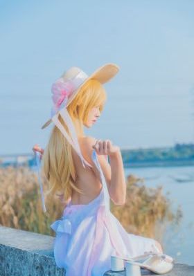 战地黄花